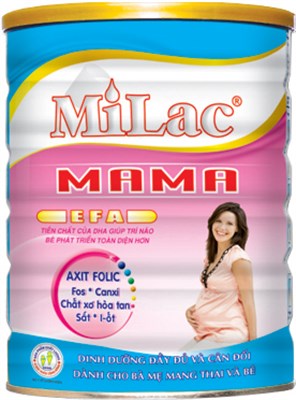 Dong Anh Mikl