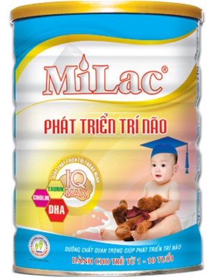 Dong Anh Mikl